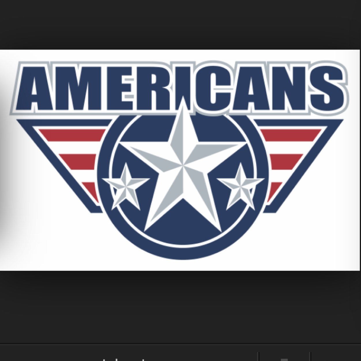 Americansfan