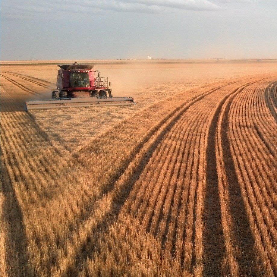 We're an ever growing and improving Wheat, Milo, Corn, and Soybean farm in Western Kansas.