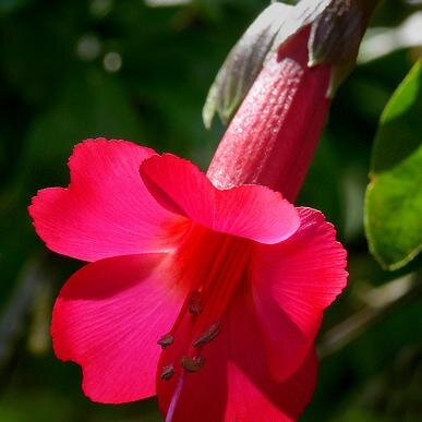 JuliannaSm1th's profile picture. Infuriatingly humble beer nerd ...Avid food evangelist -