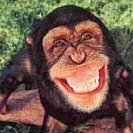 LawakKetawa's profile picture. jom tweet lawak