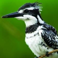 alacay21's profile picture. Να δείς τι σου 'χω για μετά...