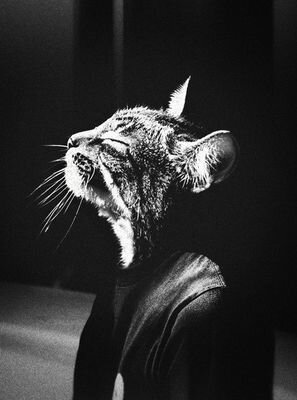 Yaaarkih's profile picture. 