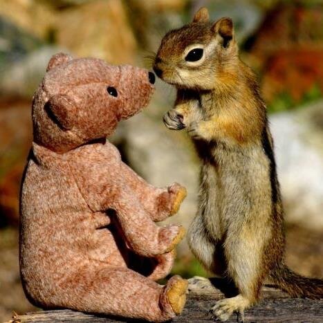 Sxxrin3's profile picture. グッズ譲渡やチケット交換用の垢です。