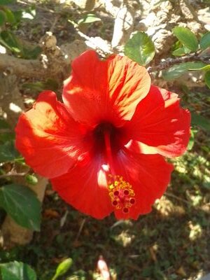 MazBabe19's profile picture. Loves pizza, chocolate and Baileys. Works hard but is also a mummy to 2 :)