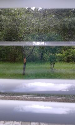 MiciPopovic's profile picture. like#jokes#music#modernfamily!!!