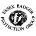 Essex Badger Protection Group (@EssexBadgers) Twitter profile photo