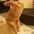 adepa_n2's profile image
