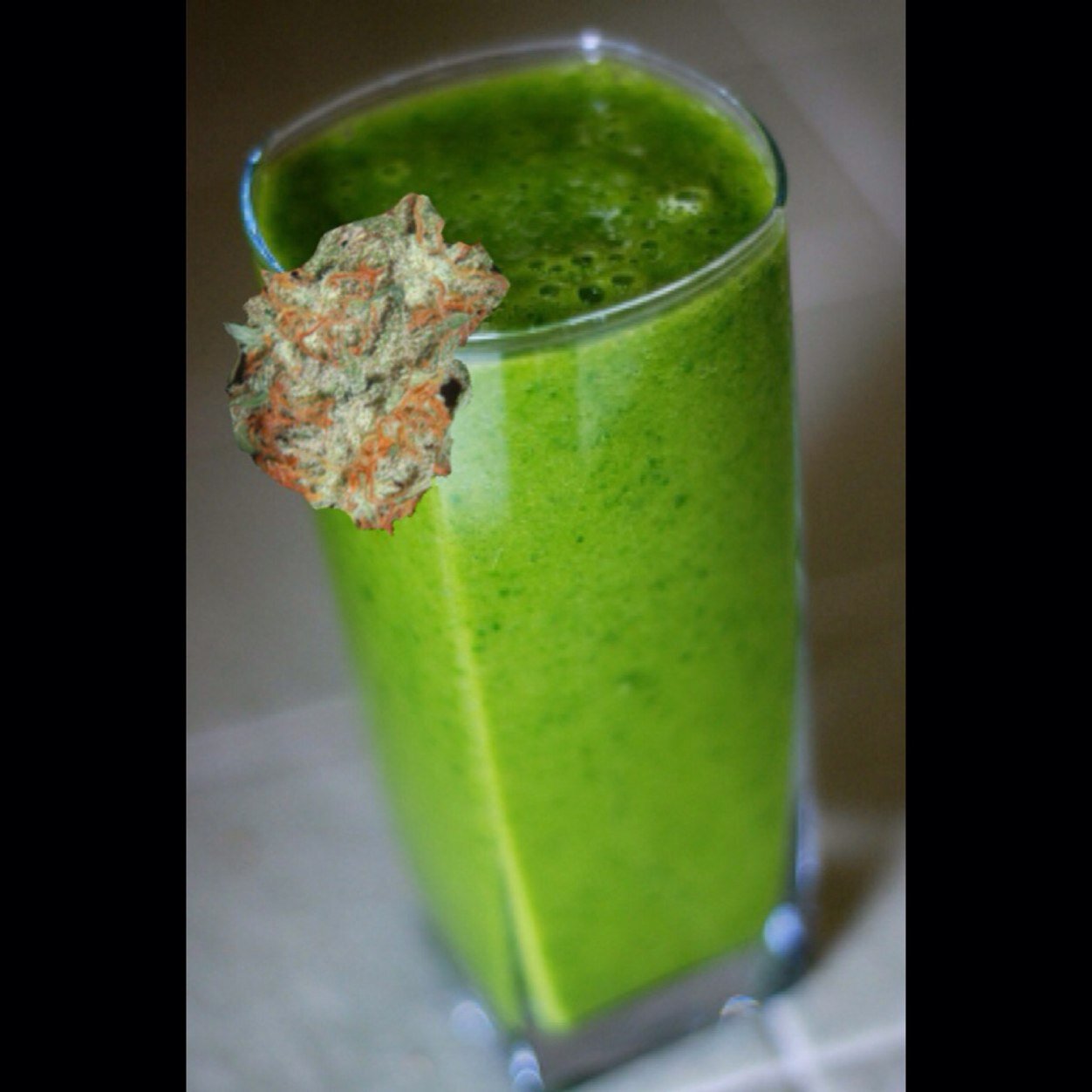 HATE SMOKERS BUT LOVE DRINKERS????! We've come here to put an end to all smokers by promoting kush drinking!!! Follow us #weed #420 #WeedDrinkers #KushSmoothies