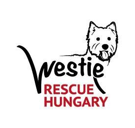 westierescuehun's profile picture. Rescuing abandoned, puppy mill, sick #westies. Non Profit Org. Say hi on facebook https://t.co/f3i8ajUY8f