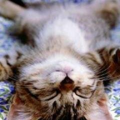 nobage24's profile picture. 