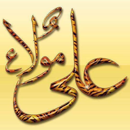 Allah Is Our Lord.
Islam Is Our Life.
The Quran Is Our Guide.
The Prophet & Aaima Maasoomeen Are Our Role Models.

We Are Shia  -  The True Muslims.