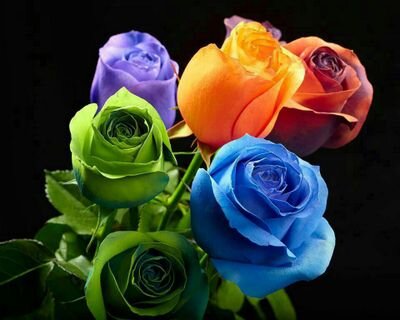 الأمل لا يأتي من فَراغ ، لا يُولَد من العَدَم
هُناك قيمةٌ إيمانية عَميقةَ هِيَ التّوكل على الله
إزرعها فيكْ ، ثّمَّ أرْسم الأملَ انّ شِئت ♥