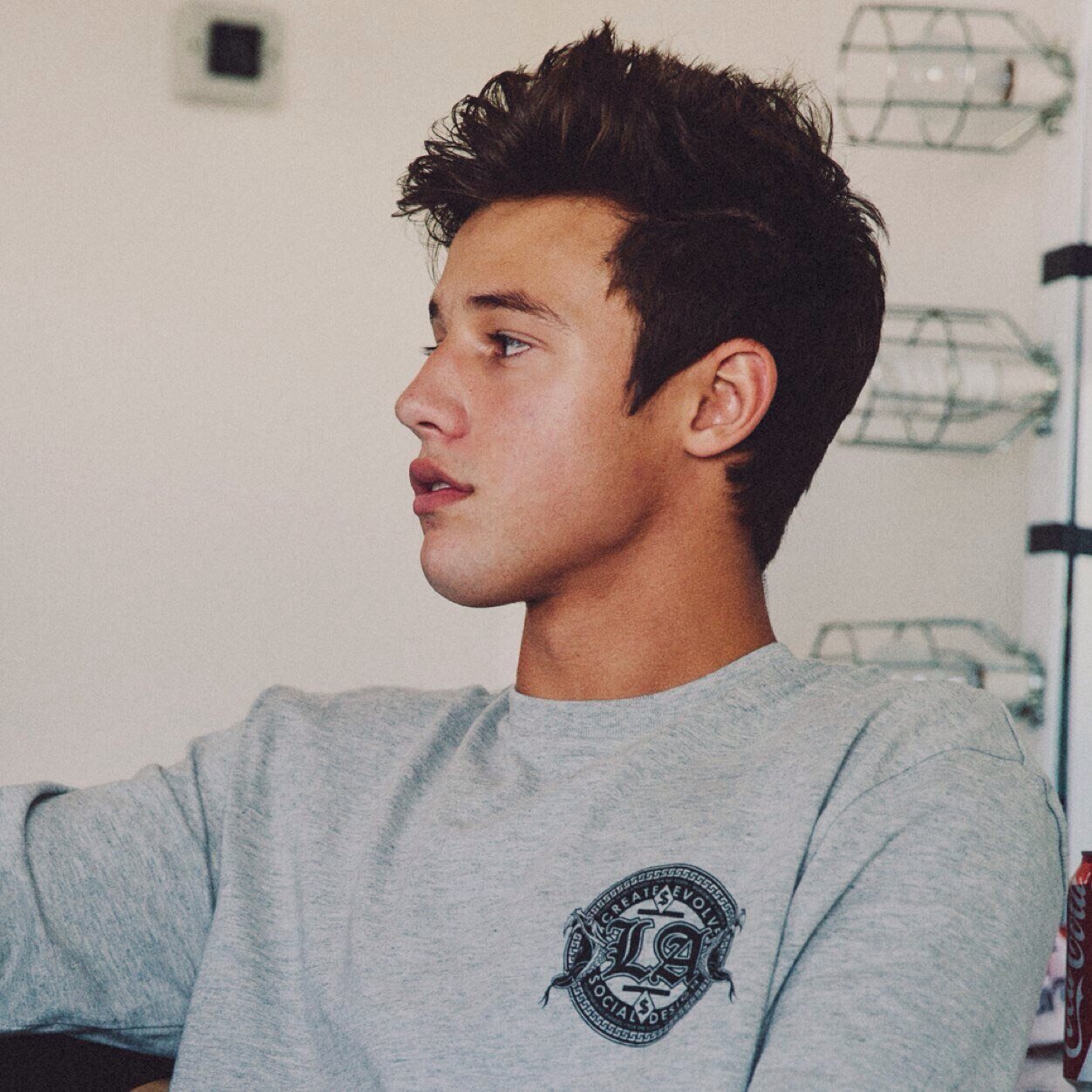 CAMERON DALLAS IS MY BOYFRIEND