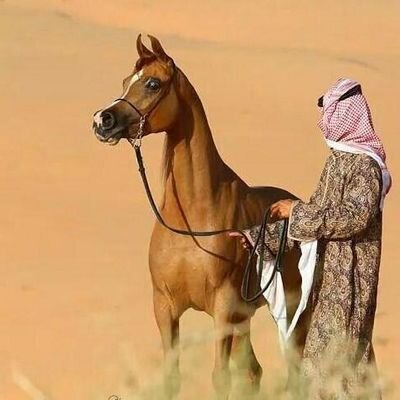 .السد ،، باح ،، وبيح ،، السد ،، غالين . ربمآ شآعر واحيان افضل الصمت.. s.M.s.. سلطان بن محمد