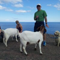 Laun Shoemaker (@launshoemaker) 's Twitter Profile