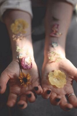 TanielleRay's profile picture. This account it no longer available