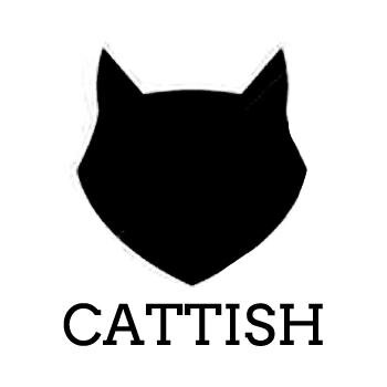 Cattish.nl: de coole kattensite voor kattenliefhebbers met stijl! Enne, bloggers gezocht! | Een site van @ContentColl