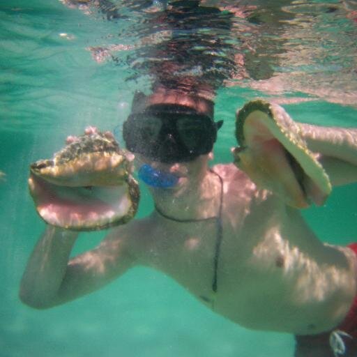 Matillazam's profile picture. ¿Para qué sirve este pájaro?