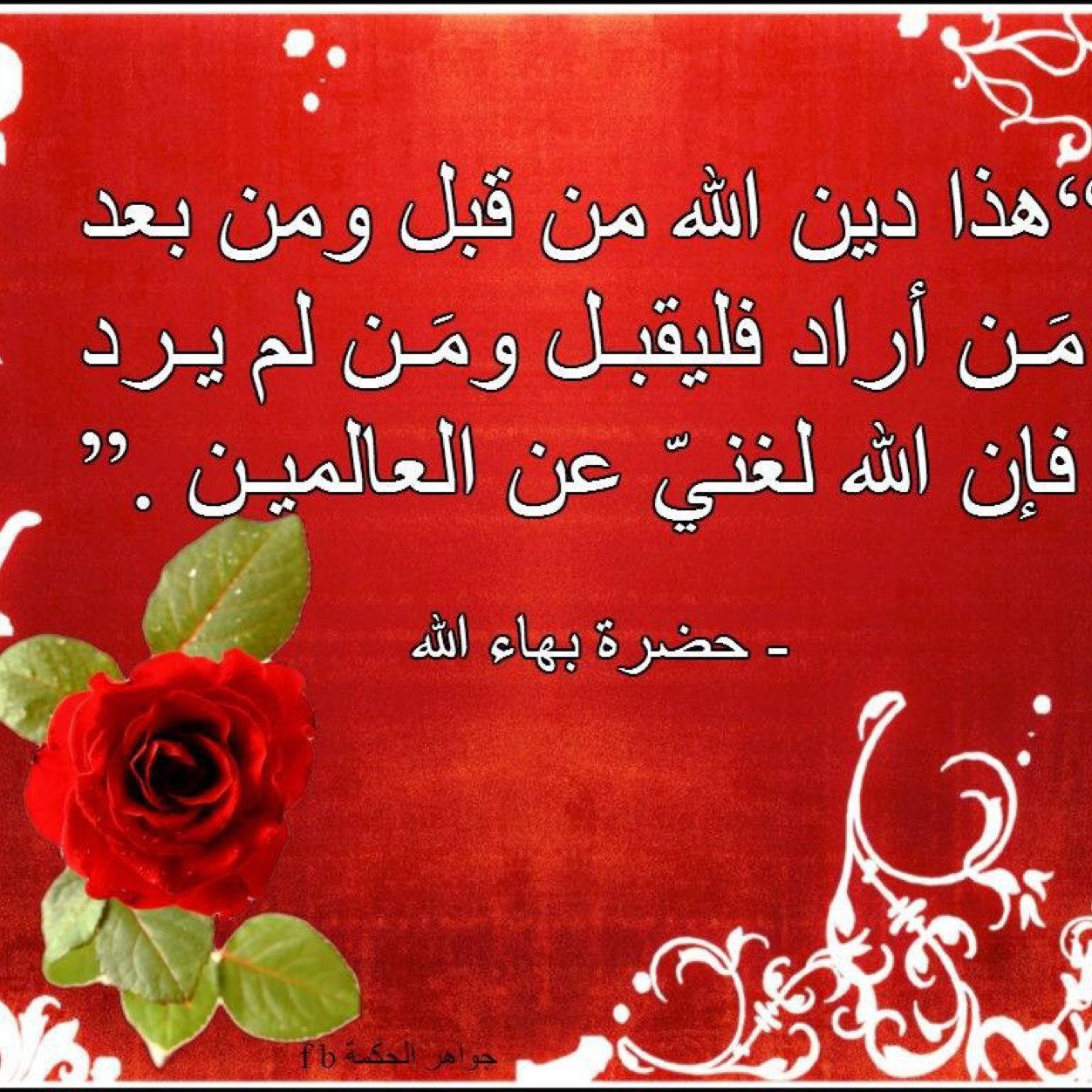 BahaiArab's profile picture. 