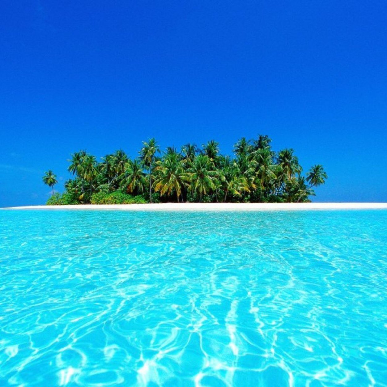 Quieres ver los mejores paisajes del mundo.Pues siguenos!