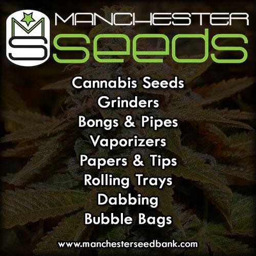 Manchester Seeds stocks all leading cannabis souvenir seeds and smoking accessories from around the world online shipping worldwide Now accepting card payments