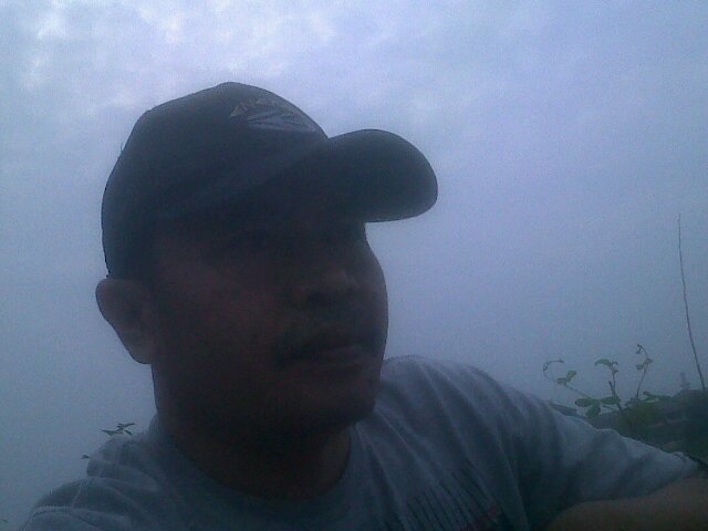 Berlakulah Jujur, Punya rasa malu dan Tidak berlebih-lebihan.