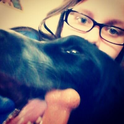 The unofficial Twitter for youtuber DucksAndDinosaurs