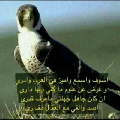 مافيه حاجه تستحق أﻷتئآب دام تصلي الخمس♡أحبابك بخير♡!!