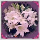 . (@054112_gm) Twitter