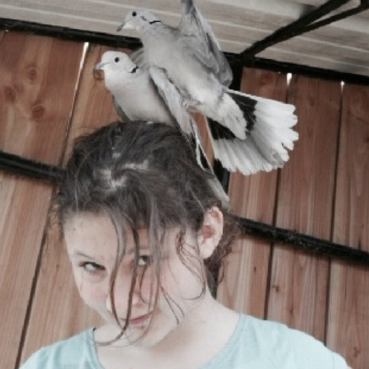 bvbniam2's profile picture. 