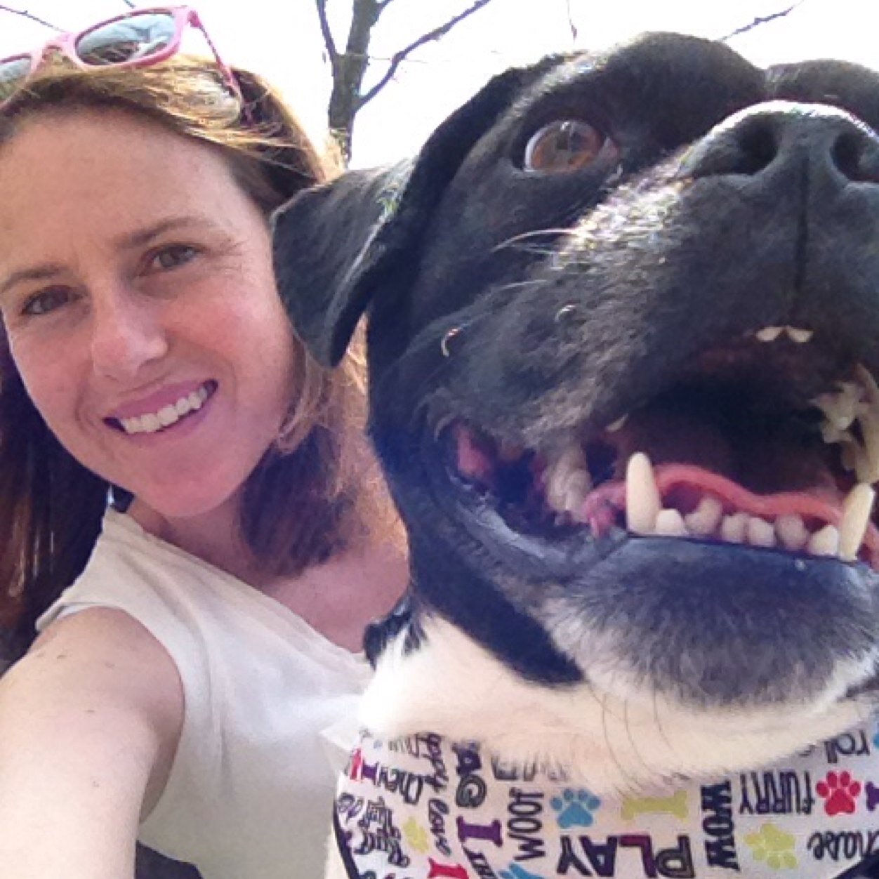 Surgical Sales Rep/ Runner/ Mother/ Puggle Owner/ Roll Tide Football Fan/ Boston for Life