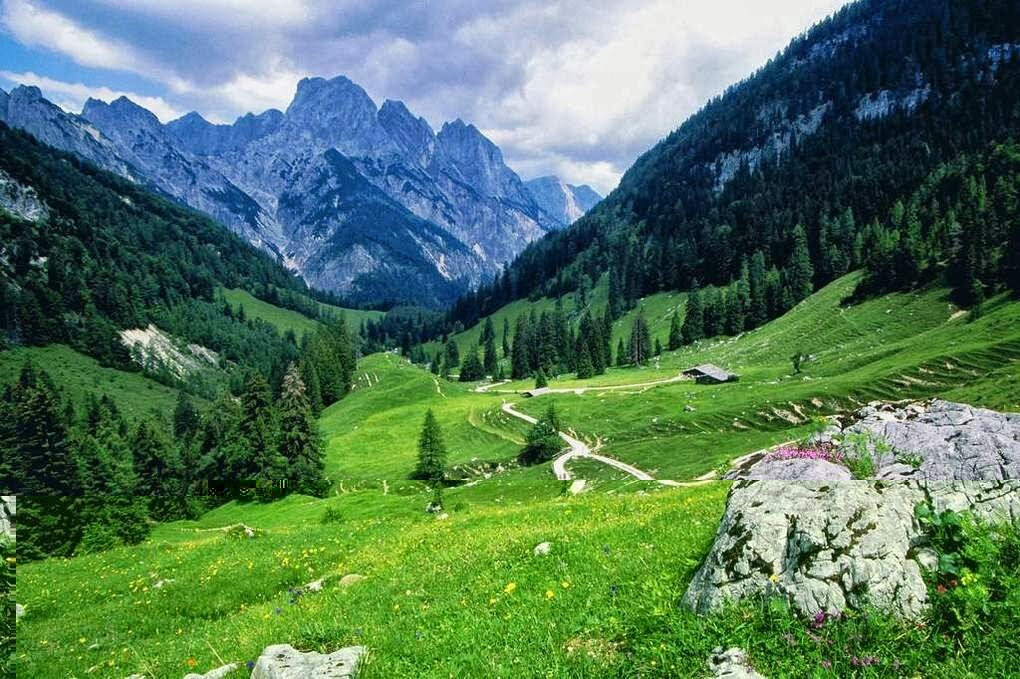 Addhy_05's profile picture. addhy to bangko