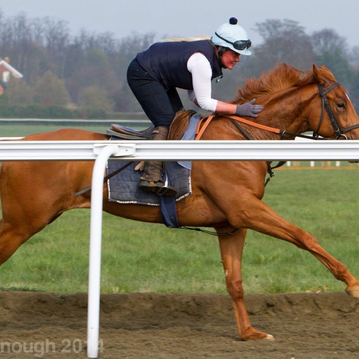 poppaldog's profile picture. views definitely my own #notafraidtovoiceanopinion