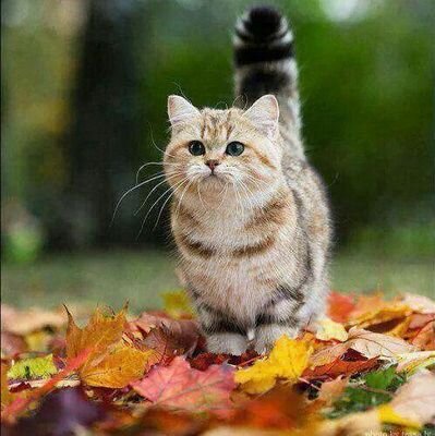 # Let's take a moment t0 say 'ALHAMDULILLAH' for everything we have ~
~USIM students~
- #S.M.I.L.E# -
~married to MSH~ ♡ ♡ ♡ ♡ ♡