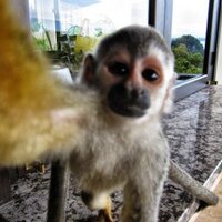 Matthew Bates (@mjbates) 's Twitter Profile