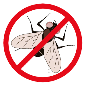 AntiVliegen's profile picture. Verkoop van VliegenVangers, Vliegen Lampen, en andere benodigdheden om Vliegen, Muggen, Wespen maar ook Muizen en Ratten overlast op te lossen!