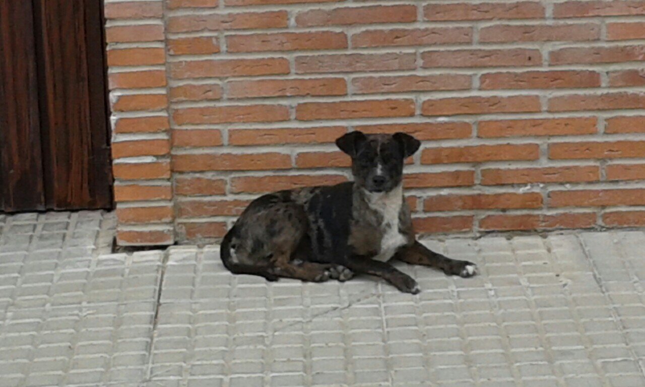 nací detrás del titi, mis papas me abandonaron pero me aferré a la vida y aqi sigo tete