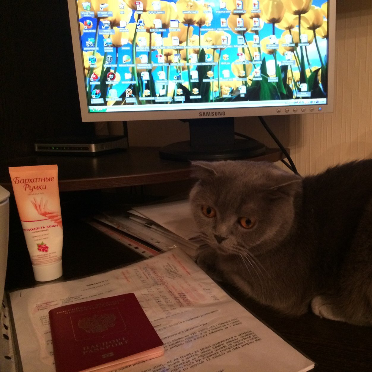 стоматолог