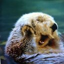 Grace Berger - @Greisfulli - Twitter