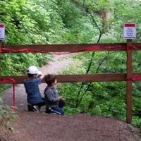 Linda Chou (@choulinda) 's Twitter Profile