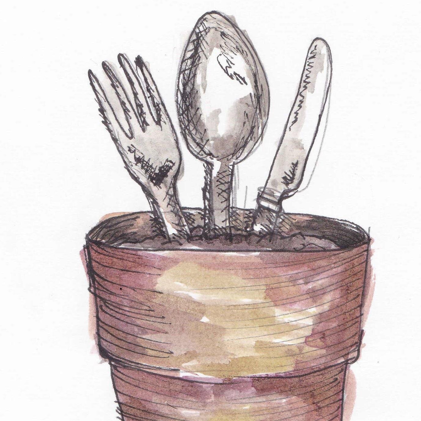 Delivering hands-on cooking & growing workshops for schools, events & parties.