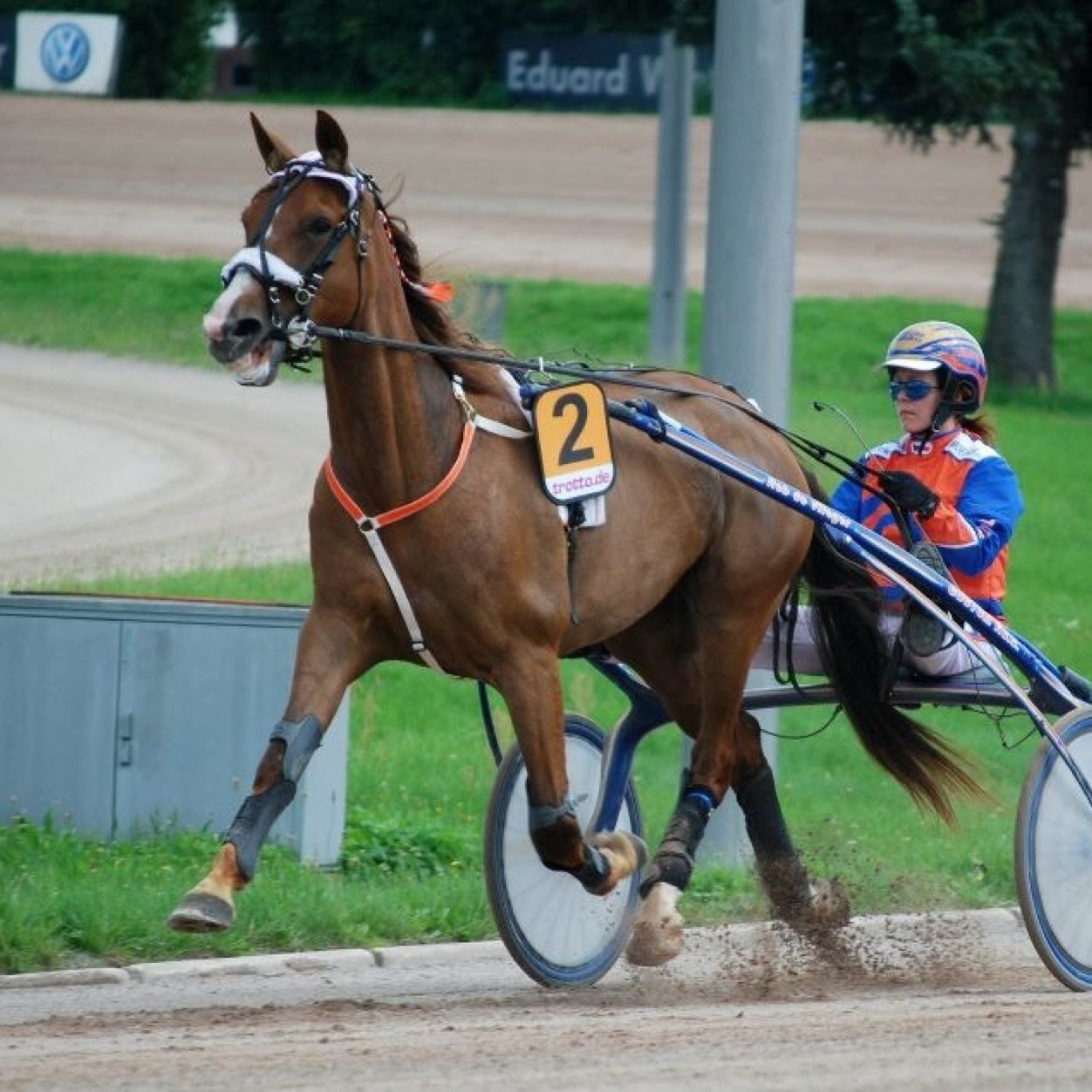 HTjalsma's profile picture. 