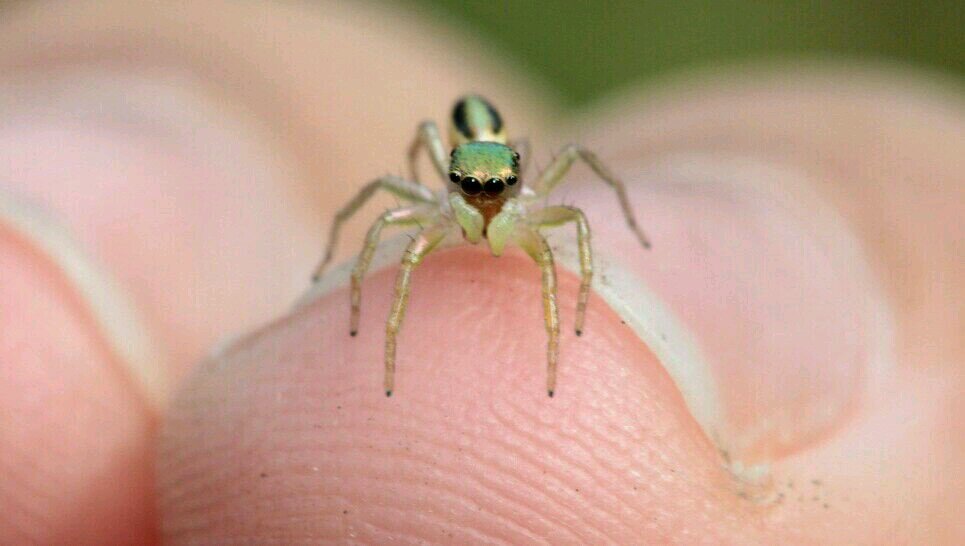 moriy70's profile picture. 