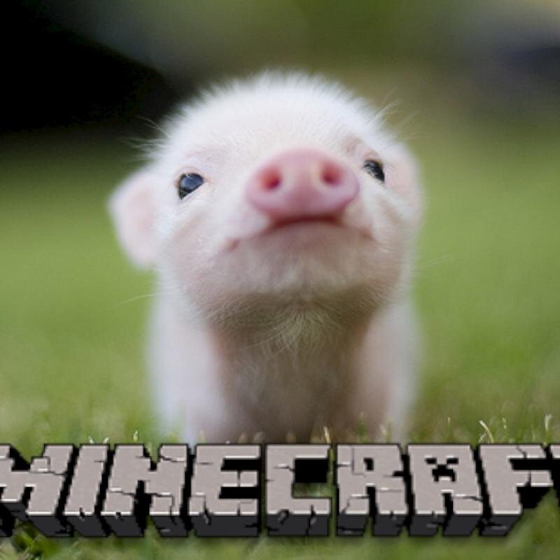 AlexTheGamer11's profile picture. bloop bloop look who's back