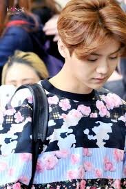 @luhanxdeer [2]