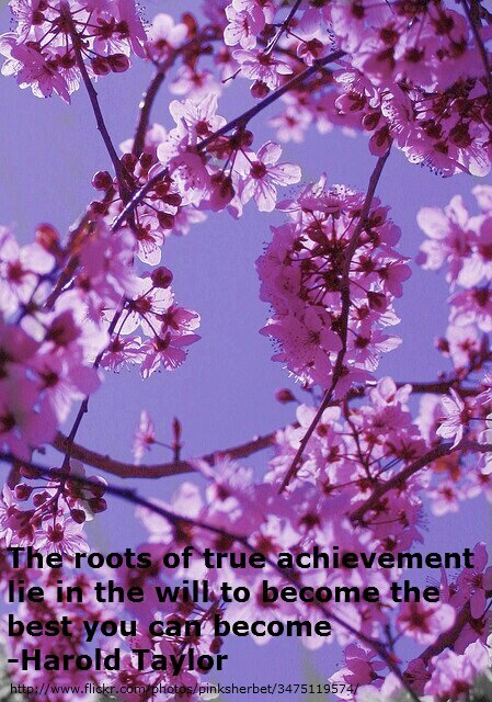 KShash13's profile picture. 