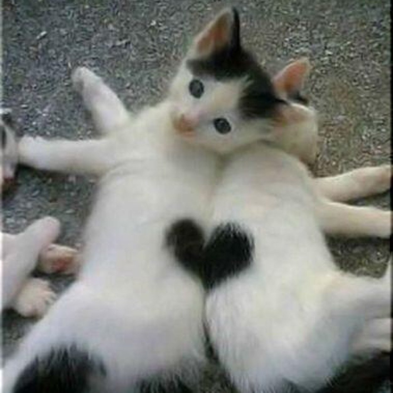 kyo01n21's profile picture. 