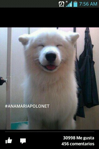 cons319's profile picture. 