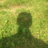 rvaes (@rvaes65) 's Twitter Profile