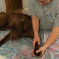 Shannon Burnard (@shannonburnard) 's Twitter Profile